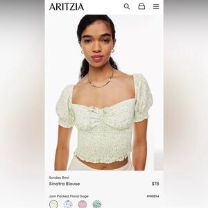 Aritzia Sunday best Sinatra blouse